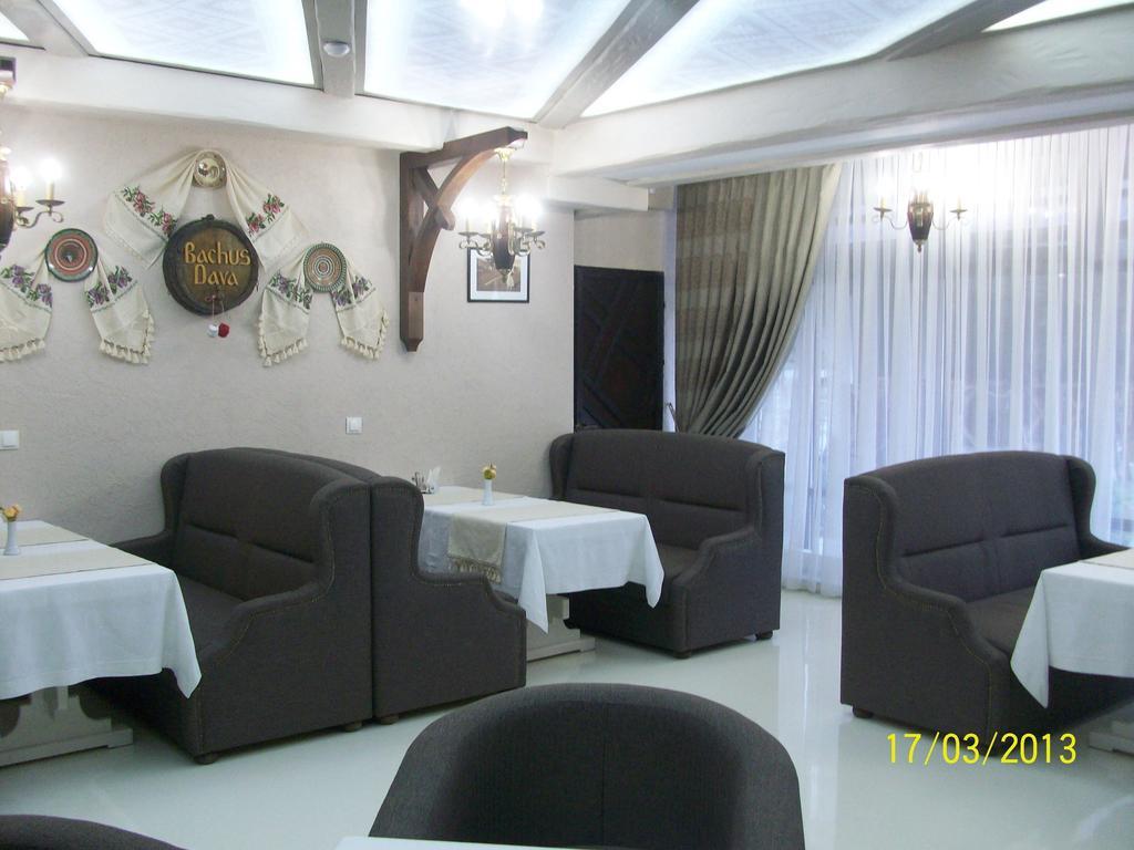 Hotel Bachus Chişinau Rum bild
